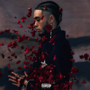 一级片大鸡巴插屁眼
